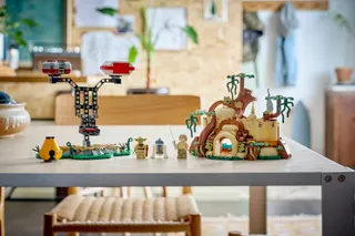 Yoda's Hut and Jedi Training LEGO-set afbeelding 15