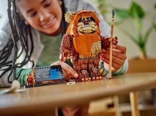 Wicket the Ewok LEGO-set afbeelding 6
