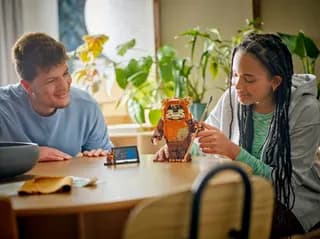Wicket the Ewok LEGO-set afbeelding 7