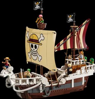 Het piratenschip Going Merry LEGO-set
