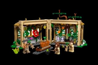 Kasteel Zweinstein: Kruidenkundeles LEGO-set