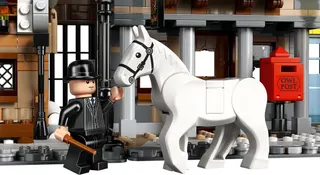 Het dorp Zweinsveld - Verzameleditie LEGO-set afbeelding 9