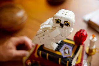 Steen der Wijzen - Verzameleditie LEGO-set afbeelding 7