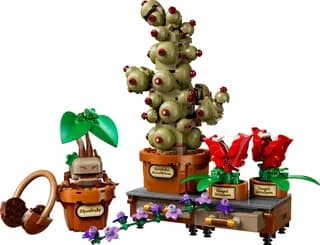Zweinstein Kruidenkunde planten LEGO-set
