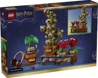 Zweinstein Kruidenkunde planten LEGO-set afbeelding 10