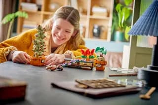 Zweinstein Kruidenkunde planten LEGO-set afbeelding 7