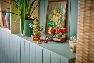 Zweinstein Kruidenkunde planten LEGO-set afbeelding 9