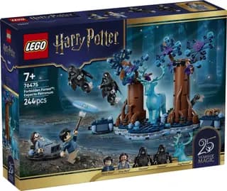 Verboden Bos: Expecto Patronum LEGO-set afbeelding 6
