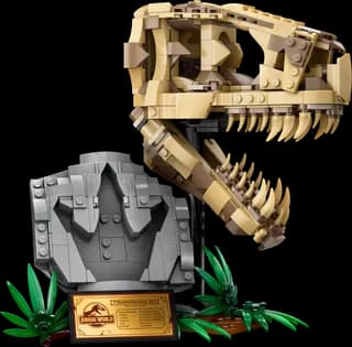 Dinosaurusfossielen: T. rex schedel LEGO-set
