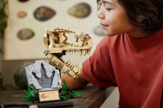 Dinosaurusfossielen: T. rex schedel LEGO-set afbeelding 7