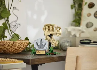 Dinosaurusfossielen: T. rex schedel LEGO-set afbeelding 8