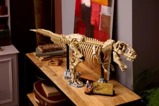 Dinosaurusfossielen: Tyrannosaurus rex LEGO-set afbeelding 11