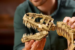 Dinosaurusfossielen: Tyrannosaurus rex LEGO-set afbeelding 6