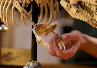 Dinosaurusfossielen: Tyrannosaurus rex LEGO-set afbeelding 7