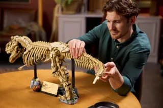 Dinosaurusfossielen: Tyrannosaurus rex LEGO-set afbeelding 8
