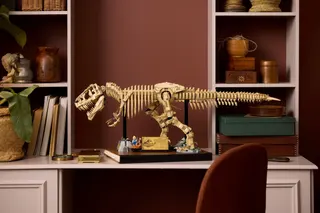 Dinosaurusfossielen: Tyrannosaurus rex LEGO-set afbeelding 10