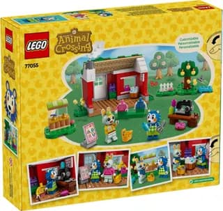 Able Sisters' Clothing Shop LEGO-set afbeelding 14