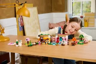 Creative Houses: Seasons of Fun LEGO-set afbeelding 3