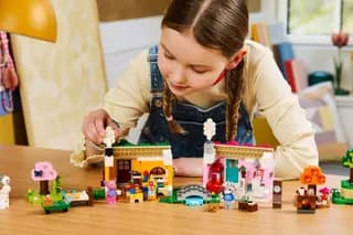 Creative Houses: Seasons of Fun LEGO-set afbeelding 5
