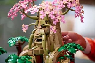 Great Deku Tree 2-in-1 LEGO-set afbeelding 4