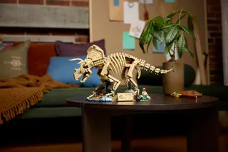 Dinosaurusfossielen: Triceratops LEGO-set afbeelding 13