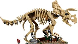Dinosaurusfossielen: Triceratops LEGO-set afbeelding 2