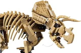 Dinosaurusfossielen: Triceratops LEGO-set afbeelding 4