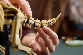 Dinosaurusfossielen: Triceratops LEGO-set afbeelding 8