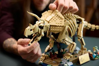 Dinosaurusfossielen: Triceratops LEGO-set afbeelding 9