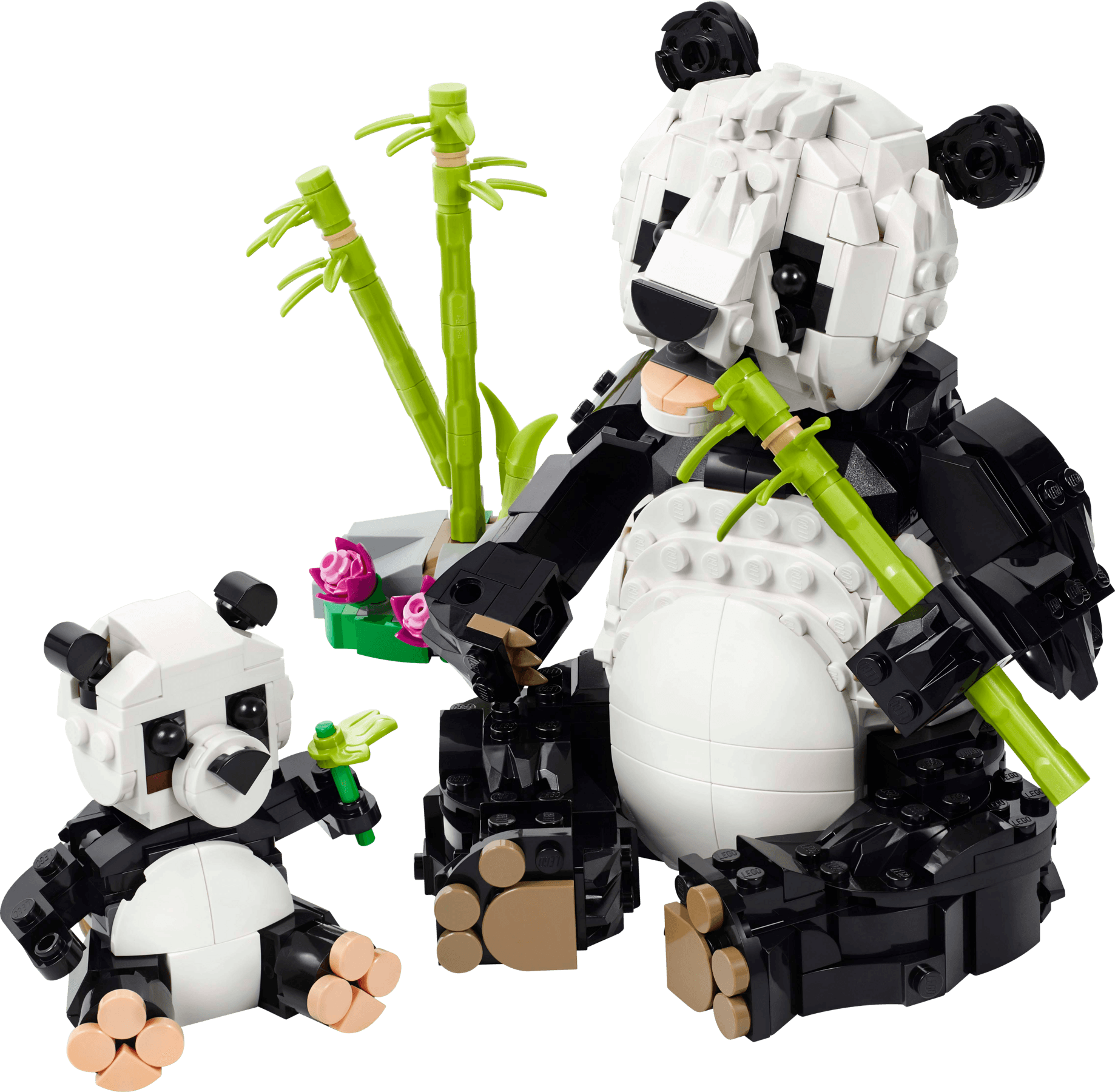 Wilde dieren: pandafamilie LEGO-set