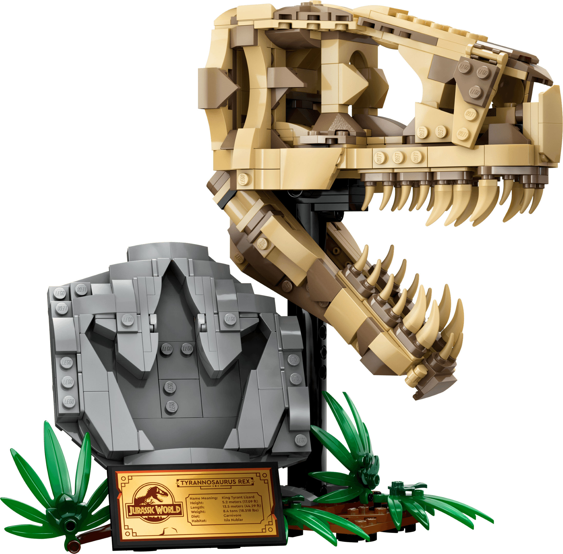 Dinosaurusfossielen: T. rex schedel LEGO-set