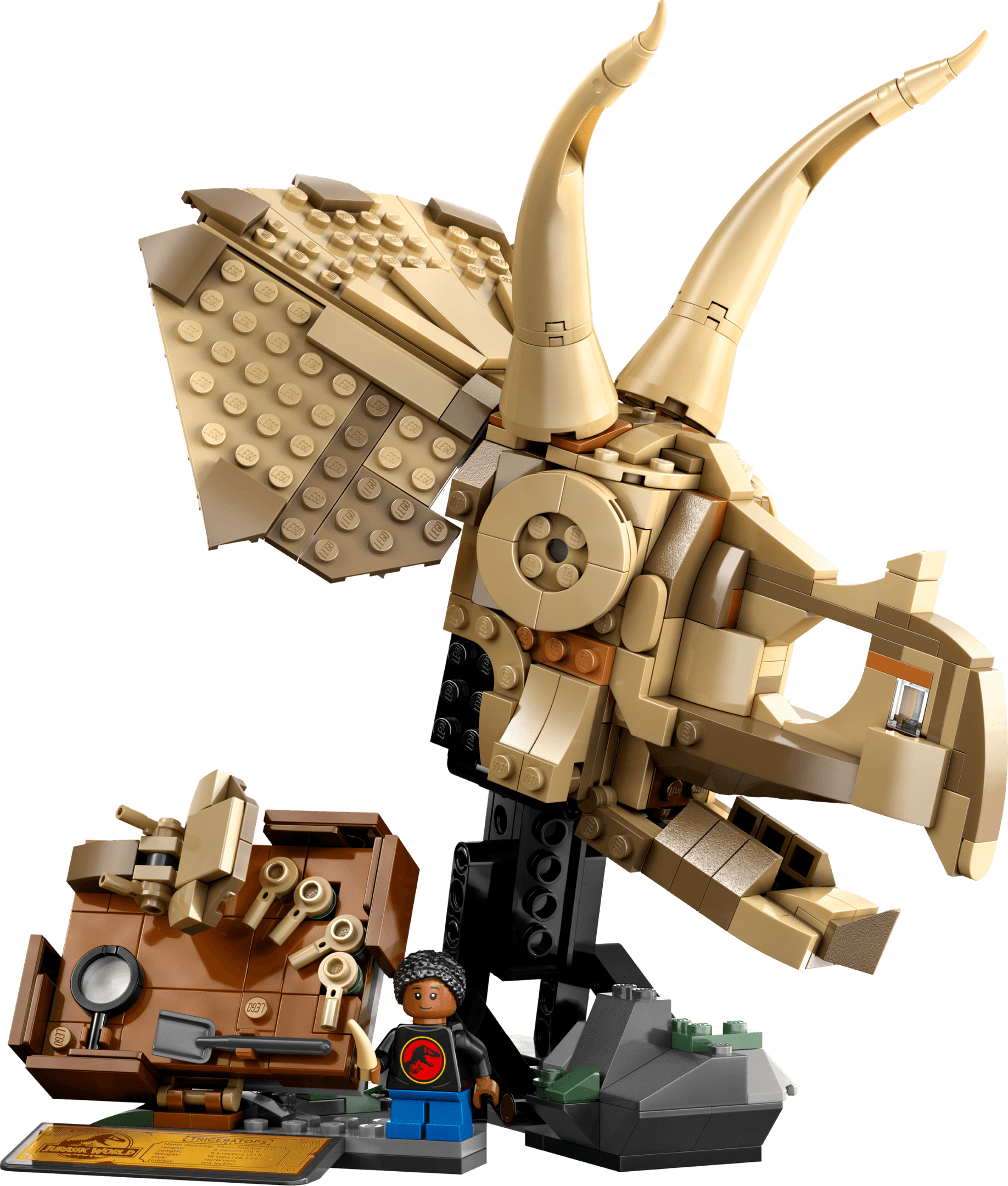 Dinosaur Fossils: Triceratops Skull LEGO-set