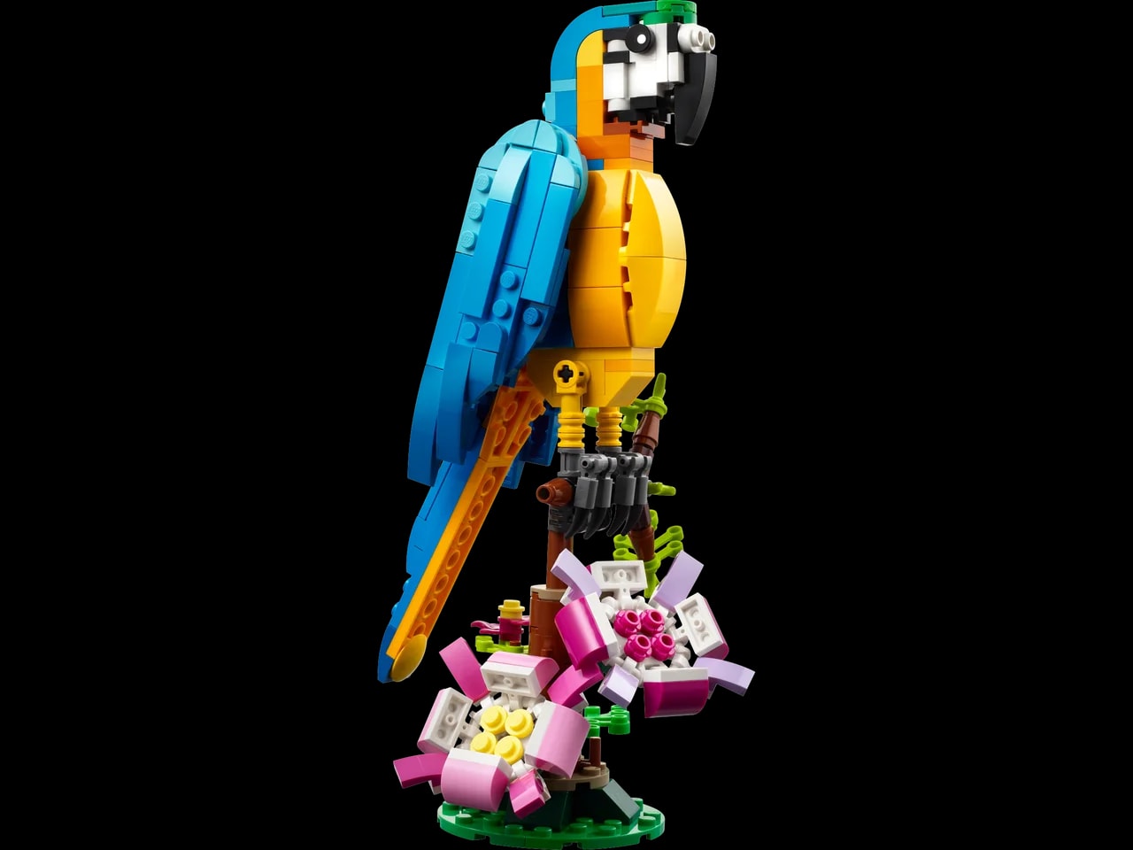 Exotische papegaai LEGO-set