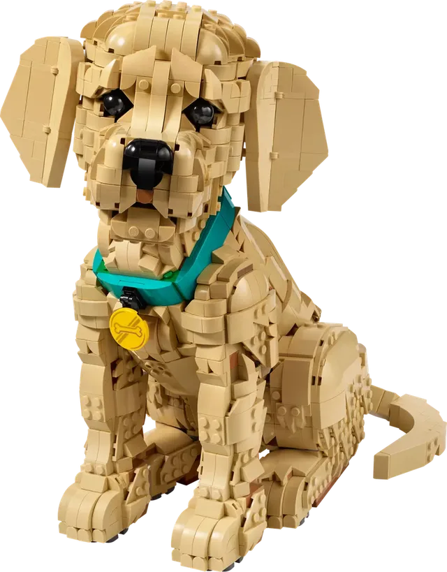 Voor volwassen bouwers LEGO