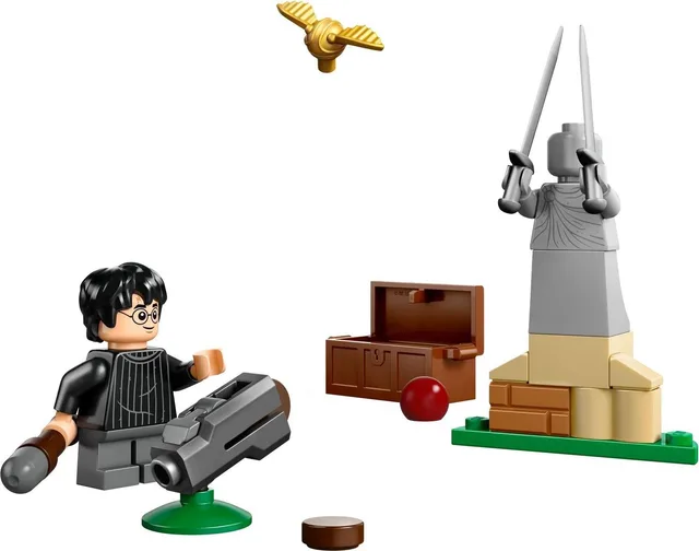 Quidditch Lesson LEGO-set